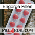 Engorge Pills 18